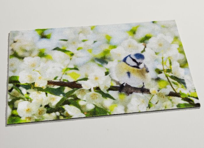 Fu&szlig;matte mit rutschhemmendem Vinylr&uuml;cken 