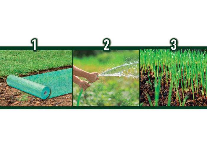 Starlyf Grassamen-Matte 