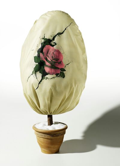 Vlieshaube Rose 