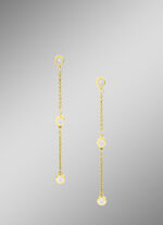 Attraktive Ohrstecker 