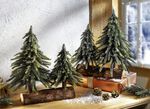 Tannenbäume auf Baumstamm 
