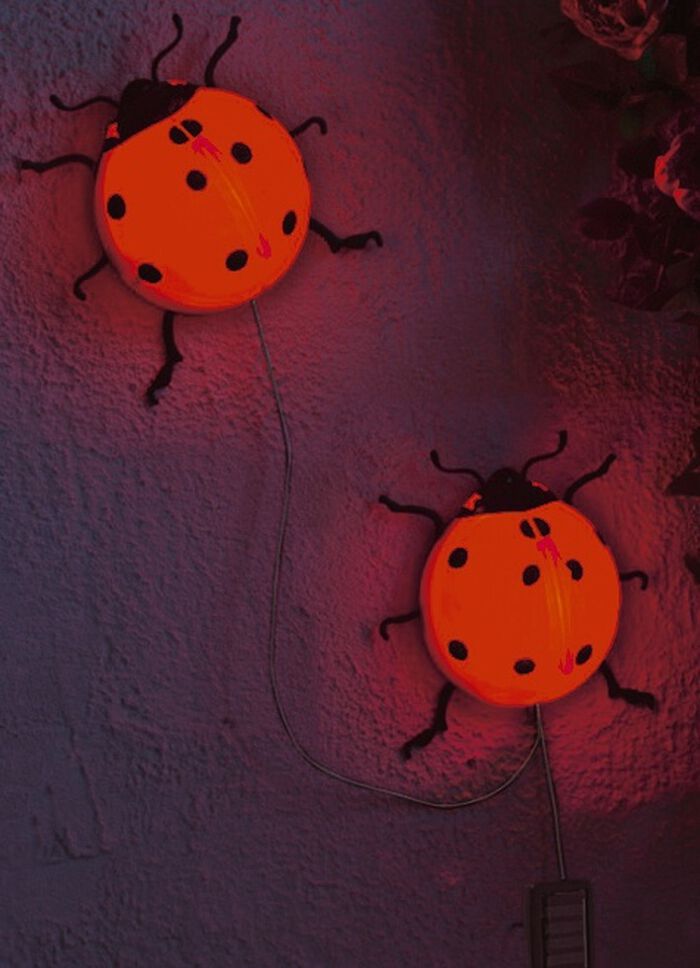 Solar-Marienkäfer, 2er-Set 