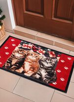 Fu&szlig;matte mit beschichteter R&uuml;ckseite 