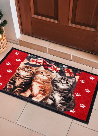 Fu&szlig;matte mit beschichteter R&uuml;ckseite 