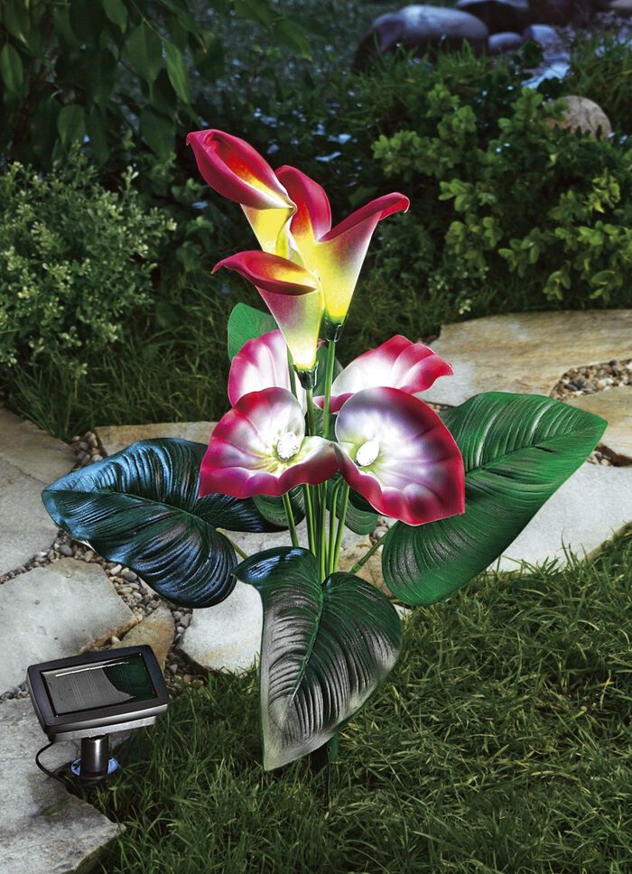 Solarleuchte Calla 