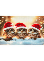 Fußmatte mit rutschhemmender Gummi-Rückseite 