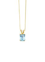 Anh&auml;nger mit Kette  