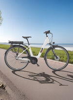 City-E-Bike RC836 von TELEFUNKEN 