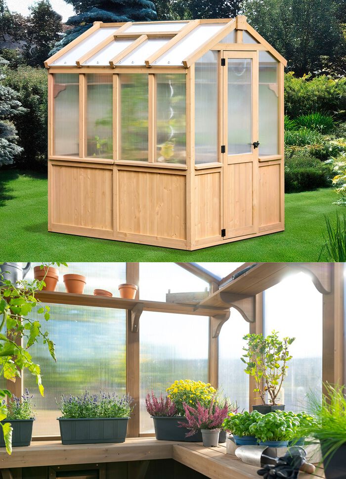 Hochwertiges Gew&auml;chshaus aus Zedernholz 