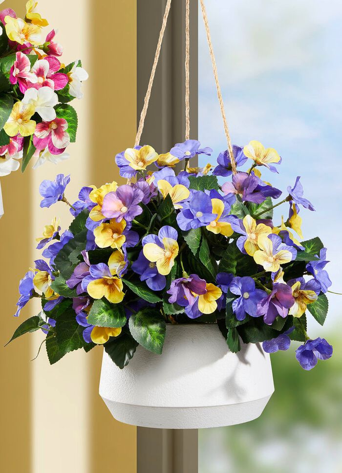 Stiefm&uuml;tterchen in H&auml;ngeampel GELB-VIOLETT