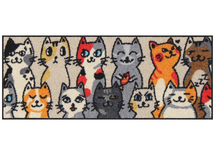 Fu&szlig;matte f&uuml;r den Innen- und Au&szlig;enbereich BUNT