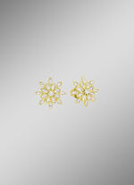 Zauberhafte Ohrstecker 