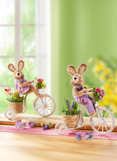 Hase auf Fahrrad 
