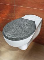 WC-Sitz mit Absenk-Automatik 