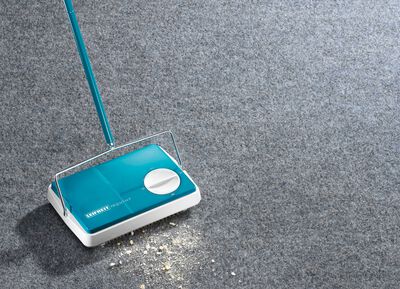 Leifheit Regulus Alleskehrer 