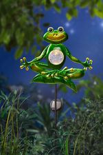 Yoga-Frosch auf Erdspie&szlig; 