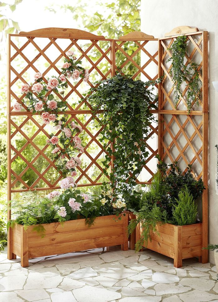 Pflanz-Spalier aus impr&auml;gniertem Kiefernholz 