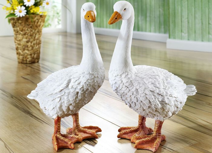 T&auml;uschend echt aussehenden G&auml;nse WEISS
