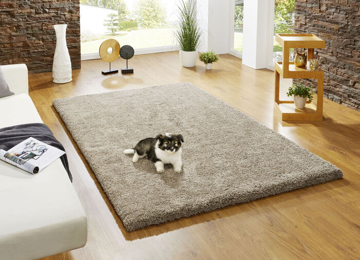 Kombistarke Brücken, Galerien und Teppiche aus dichtgewebtem Shaggy-Flor TAUPE