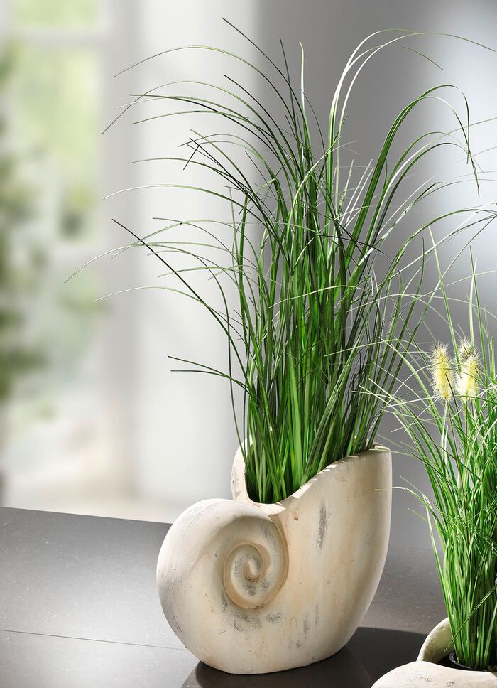 Grasbusch aus Kunstmaterial in Muschel 