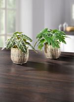 Detailreich gearbeitete Mini-Pflanzen 