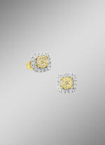 Extravagante Brillant-Ohrstecker in Bicolor mit 46 Brillanten 