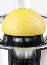Caso CP300 Zitruspresse f&uuml;r alle Zitrusfr&uuml;chte 
