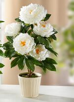 P&auml;onienbusch im Topf aus Kunst- und Textilmaterial WEISS