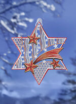 Fensterbild Stern aus echter Plauener Spitze 