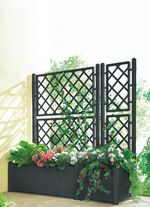 Pflanzkasten mit Spalierwand ANTHRAZIT