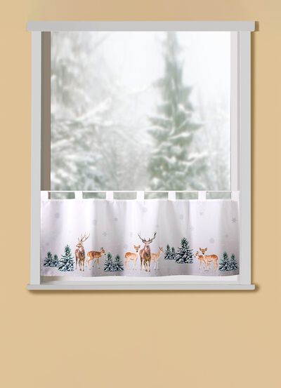 Kurzstore Rehe im Wald 