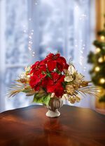 Poinsettia/Hortensie-Arrangement in Keramikpokal 