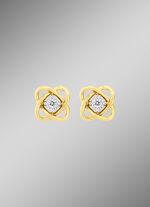 Traumhafte Ohrstecker 