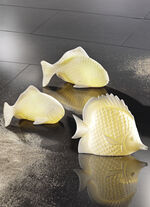 LED Meerestiere WEISS