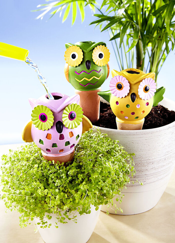 Bewässerungs-Eulen, 6er-Set 