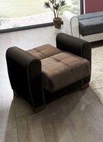 Polsterm&ouml;bel mit Bettfunktion und Bettkasten 