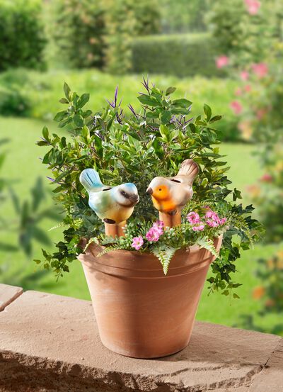 Bew&auml;sserungsv&ouml;gel, 2er-Set 