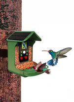 Futterhaus mit Kamera 