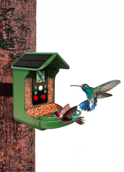 Futterhaus mit Kamera 