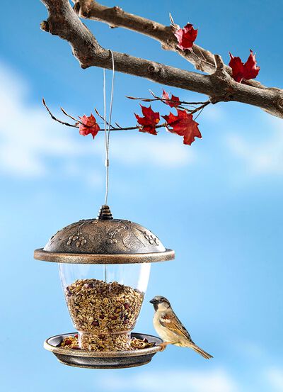 Vogelfutterstelle im Antik-Look 