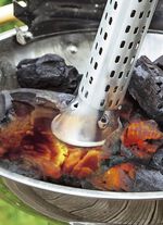 Unkrautvernichter "Thermoflamm Bio Electro“ 