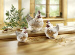 Huhn  