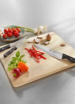 Messerset mit Schneidebrett, 9-teilig 