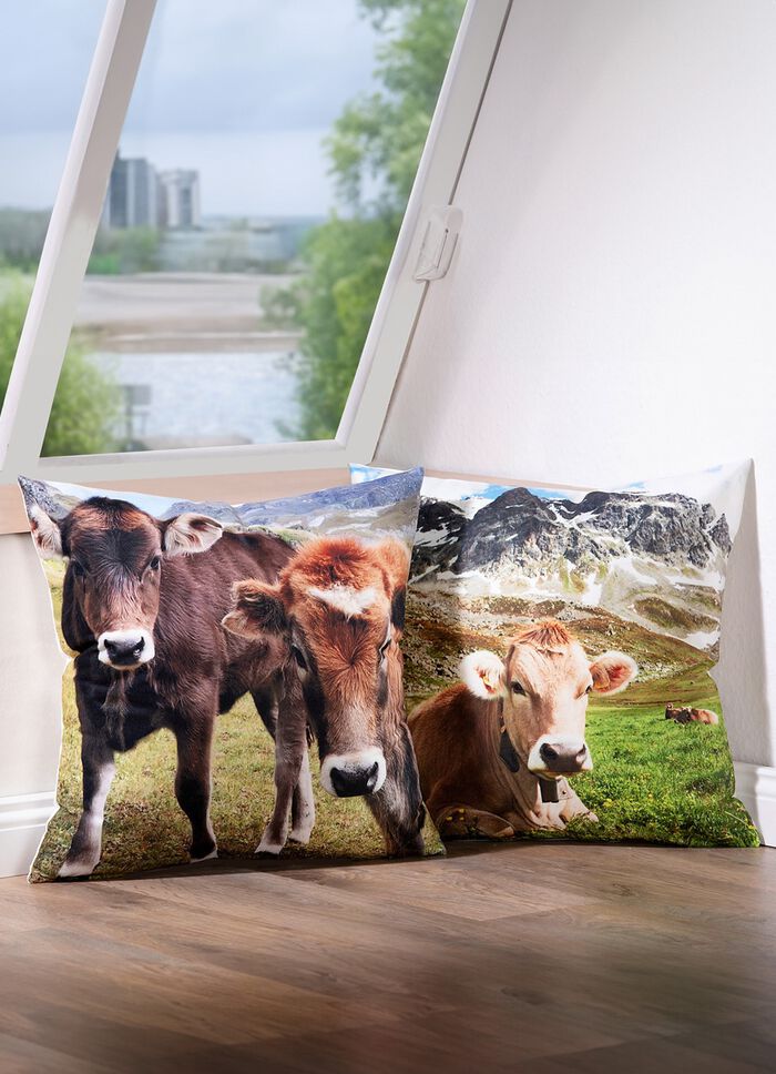 Kissenbezug in Samtoptik BUNT