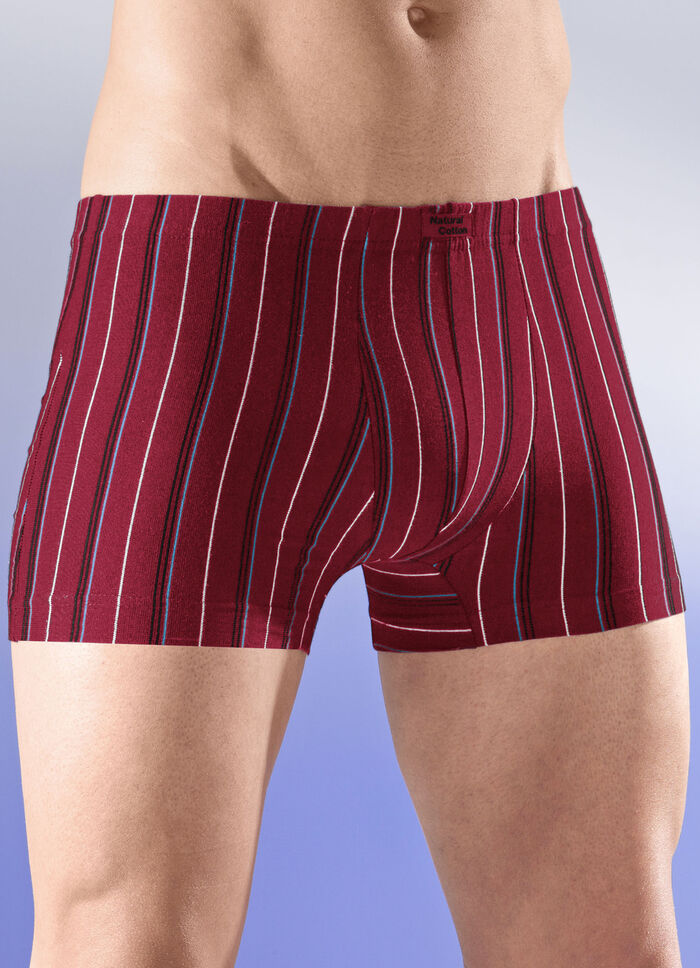 Sechserpack Pants mit Streifendessin 