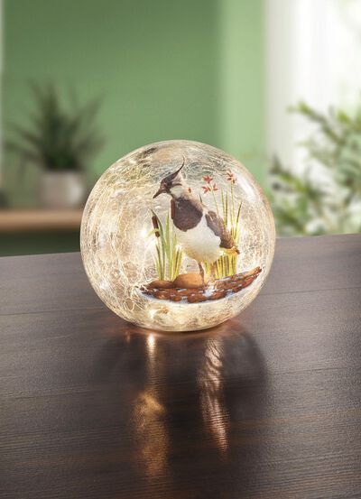 Glaskugel mit Beleuchtung 