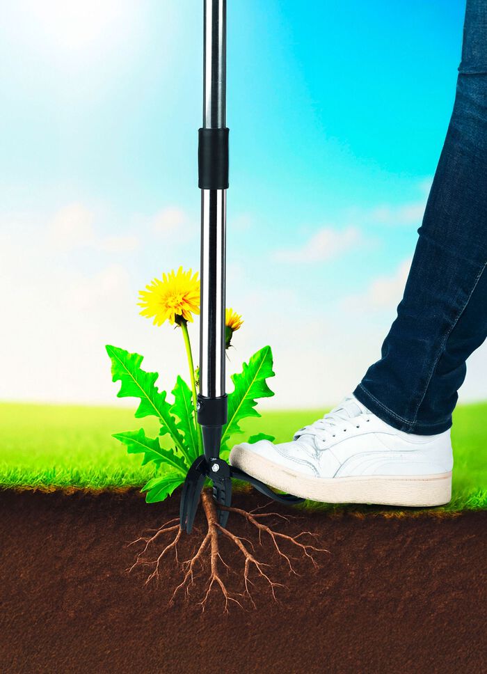 EASYmaxx Unkrautstecher 