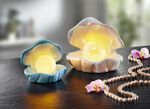 Muschel mit LED-Beleuchtung 