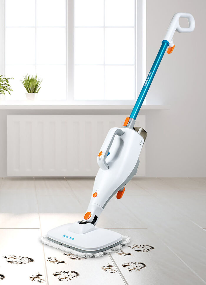 Genius Invictus Hand- und Bodendampfreiniger 