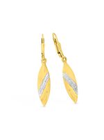 Tolle Ohrringe in Bicolor 